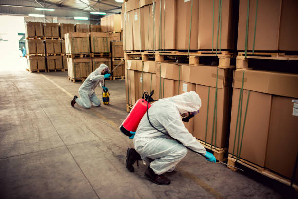 Best Termite Control Services  in Chualar, CA