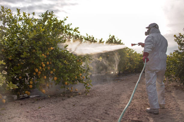 Best Cockroach Control Services  in Chualar, CA