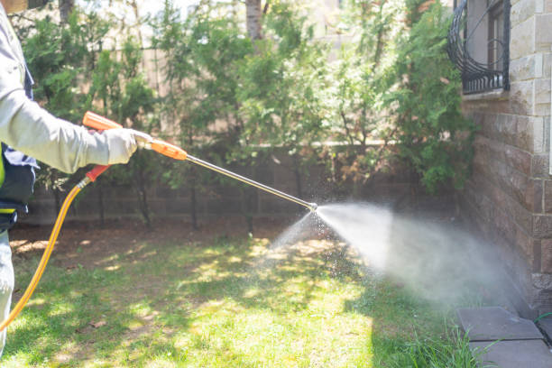 Best Mosquito Control Services  in Chualar, CA